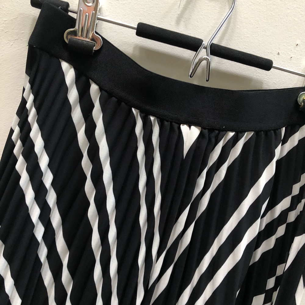 Pleated Skirt